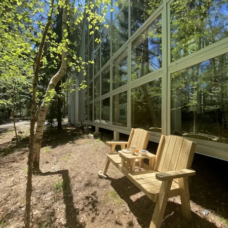 A Prism in the Woods