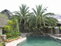 Parrot Lodge - Kolam Renang
