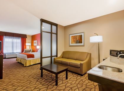 Holiday Inn Express & Suites Alpine Southeast