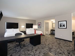 Hampton Inn & Suites Roanoke Airport