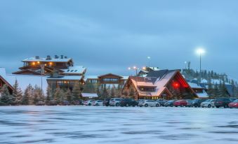Alpijskie Doma Hotel