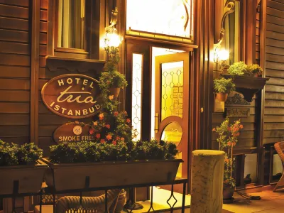 Tria Hotel Istanbul-Special Category Hôtels à : Istanbul