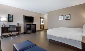 Comfort Inn & Suites Greer - Greenville