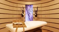 Small Luxury Hotels of the World - Breidenbacher Hof - spa