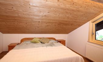 Cozy Apartment in Schruns Vorarlberg Near Ski Area Montafon