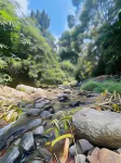 Mount Court Munnar