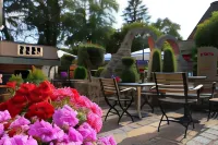 Hotel Il Cavallino - Wifi