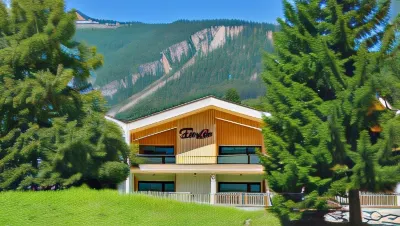 Da Alois - Alpine Premium Apartments Hotel di Oblarn