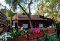 Kinneret Lodging