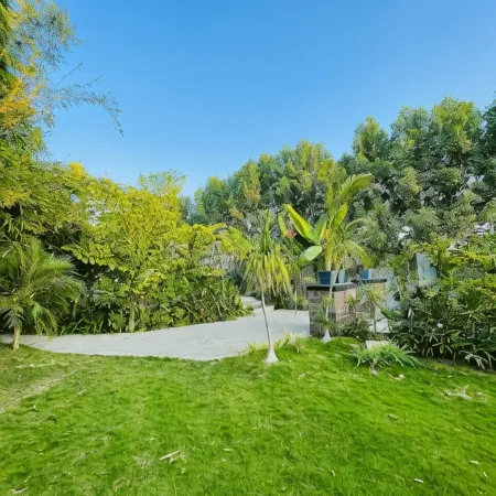 The Bali House