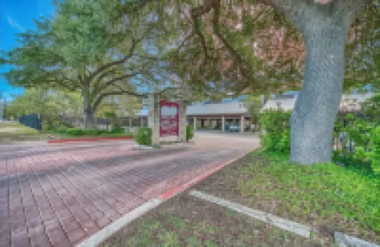 鐵仙人掌Comal CW C102 2卧室公寓 由RedAwning提供