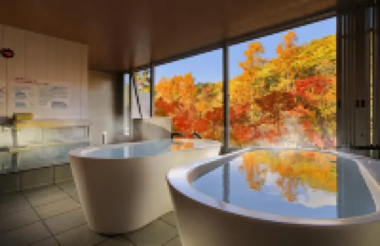 龍崎水療度假村