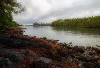 Waterfront Timber Frame Cottage! Hotels in Ucluelet