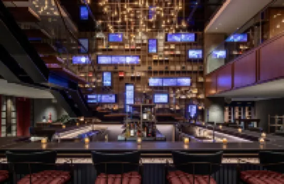 The Millennials Fukuoka