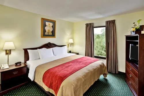 Comfort Inn Chester - Richmond South Hotels in Chester