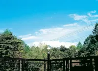 Home Pension White Rinrin