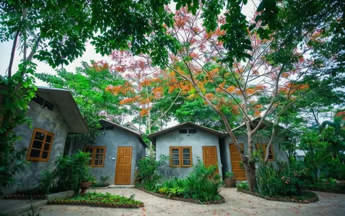 Afterglow Hostel