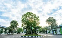 Golden Harvest Hotel - 3 ดาว