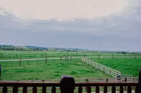 CF Ranch & Cattle Co.- Lodge and CrossFit Gym