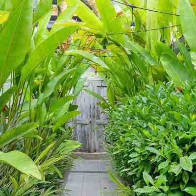 Villa Drupadi 16B 4 bed 4.5 bath Seminyak Location Hotel Exterior
