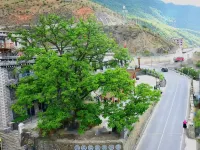 Shanbara Homestay (Daocheng Yading Visitor Center)