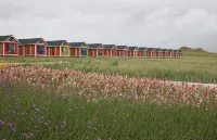 Rainbow B&B