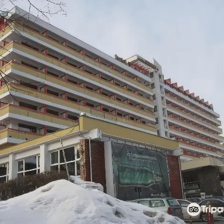 Hotel Sinaia