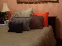 Ledroit Park Renaissance B&B - Homestays