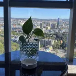 Shilin Tongce International Hotel - Bergblick