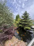 Luxury Countryside Apartment with stunning views - Wifi