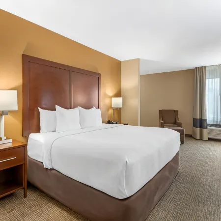 Comfort Inn North Conroe