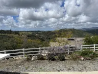 Beverly's Hilltop Retreat