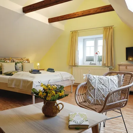 Apartment "Blütezeit"- Ferienhof Gräfe restored 3-sided farm with pool & sauna