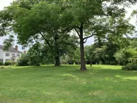Athlone Farm: Spacious, Gorgeous Grounds, Historic Outbuildings, Summer Deals! - Wifi