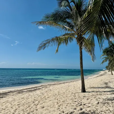 Lovely Ocean Front Sea Palm Villa #5