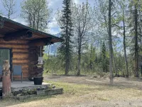 Modern Rustic Cabin with Denali View