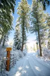 Top Rated Charming MT Cabin w Hot Tub, 10min Dwtn, MSU, 1hr Big Sky/Yellowstone - Feriehus