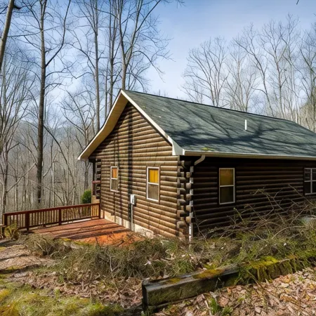 Mountain Retreat Log Cabin
