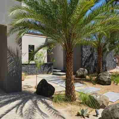 Your peaceful oasis in Tamarindo. Complimentary Breakfast and Housekeeping! Hotel Exterior