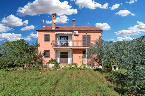 Bright apartment with garden and balcony - Homestays