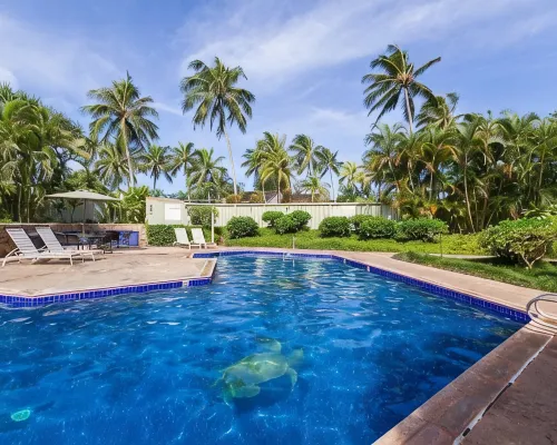 Magnificent Newly Renovated TBay Golf Course Condo Hotels in Kahuku