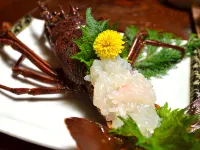 ペットと泊まれる旅館 まつしん