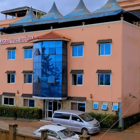 Acactus Hotel