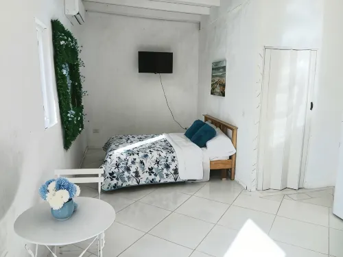 Charming & Cozy 1-bedroom apartment in Noord with Plunge pool, WiFi & AC