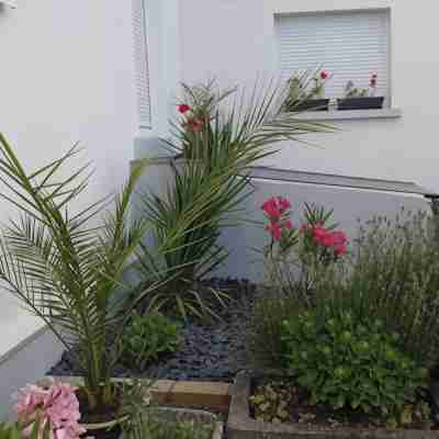 Geranium Apartment Hotel Exterior