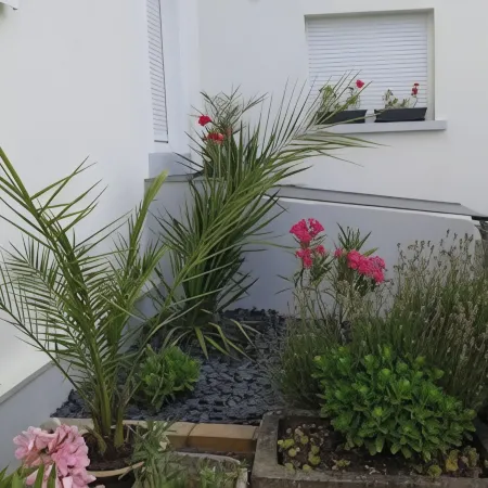 Geranium Apartment
