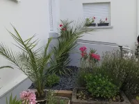 Geranium Apartment