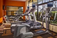 Courtyard Virginia Beach Norfolk - 3-Star