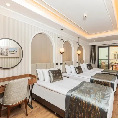 Mukarnas Pera Hotel Отели рядом с достопримечательностью «Стадион Kasımpaşa»