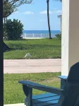 Oceanview 2 bed, 2 bath, steps away from clubhouse, beach and pool.